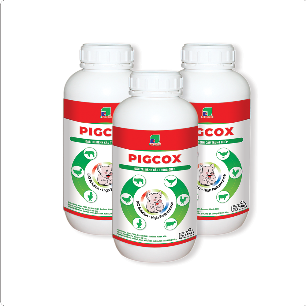 PIGCOX